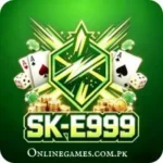 E999 Game